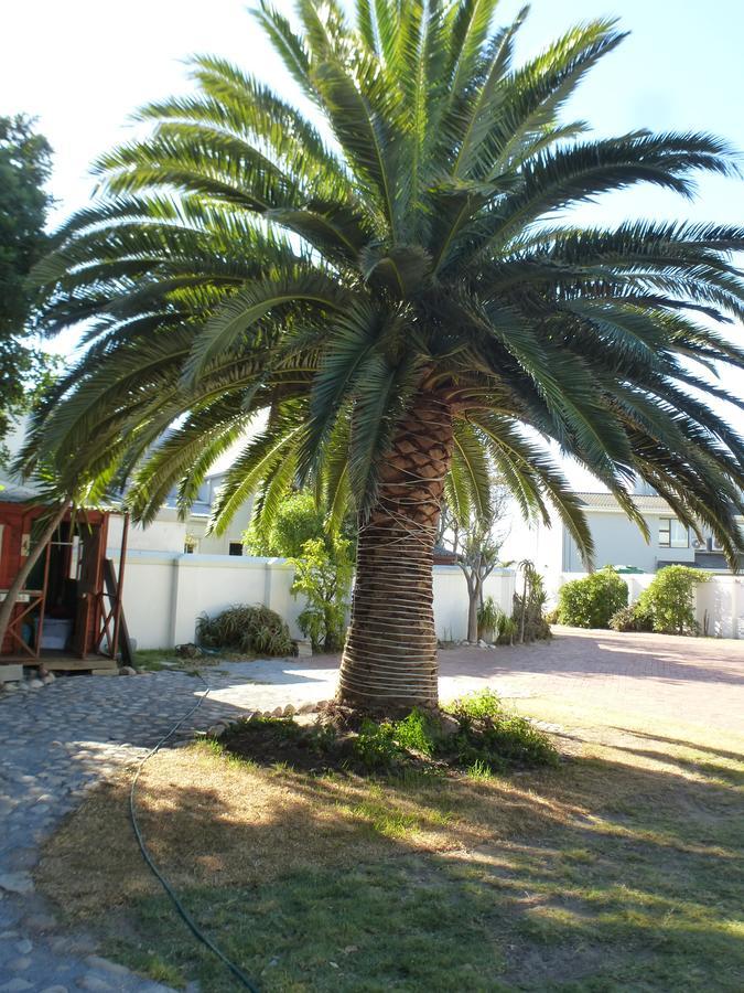 Cape Town Milnerton Lagoon Villa Eksteriør bilde